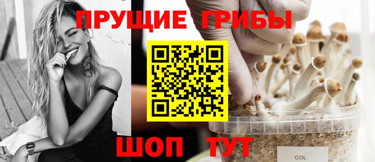 Узловая  Галлюциногенные грибы Magic Shrooms  Вход с VPN  Галлюциногенные грибы MAGIC MUSHROOMS 