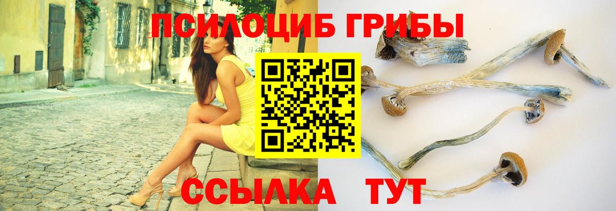 Галлюциногенные грибы Psilocybine cubensis Узловая